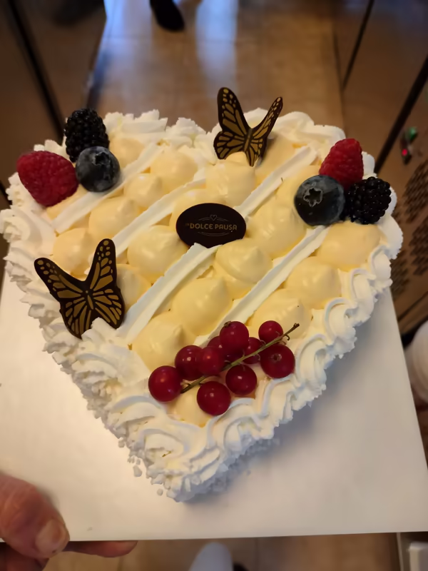 1F73C1A8 4656 4508 B177 Ebed1513A993 1 All 12054